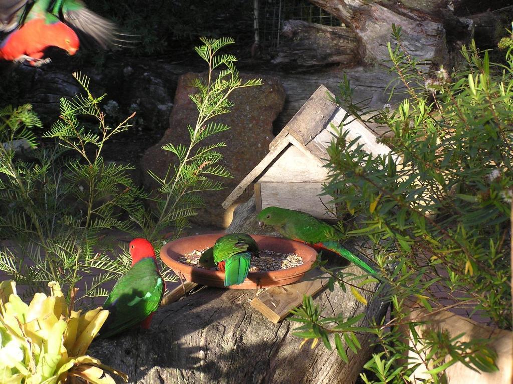 Kianinny Bush Cottages Tathra Extérieur photo